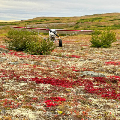 Rosey-Air---Anchorage-Alaska-Air-Taxi-Service--175