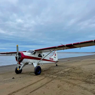 Rosey Air Anchorage Charter Plane - de Havilland Beaver